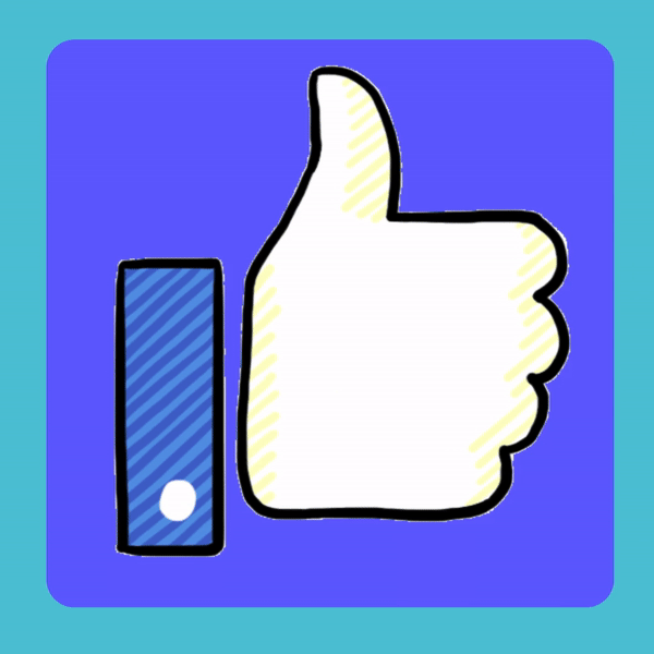 https://www.facebook.com/meumundolipe
